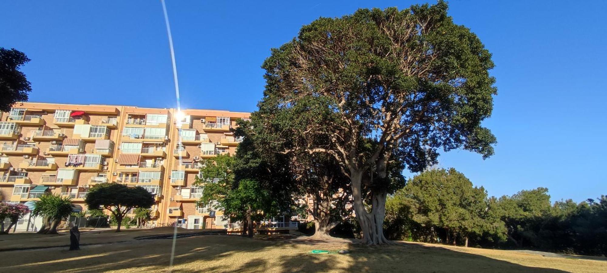 Apartamento Aguila, Arroyo De La Miel, Benalmádena Buitenkant foto